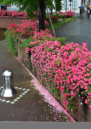 f0218012_759852.jpg