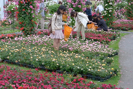 f0218012_822477.jpg