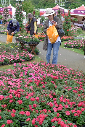 f0218012_82991.jpg
