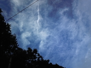 d0150013_20235950.jpg