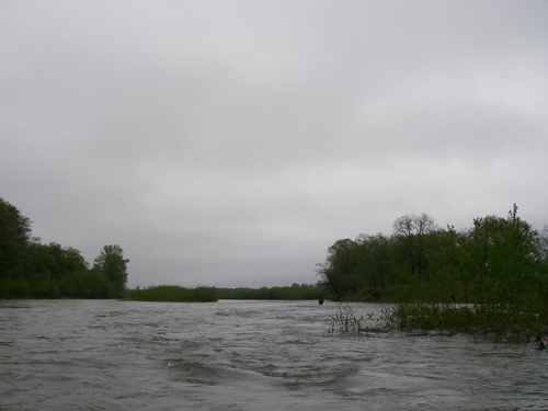 d0202215_7184769.jpg