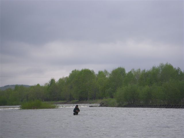 d0202215_736659.jpg