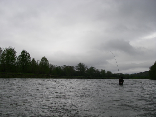 d0202215_8122476.jpg