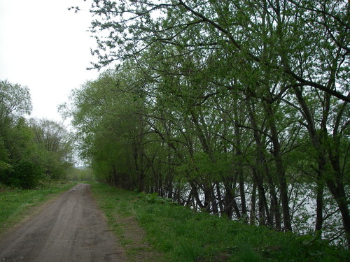 d0202215_8131922.jpg