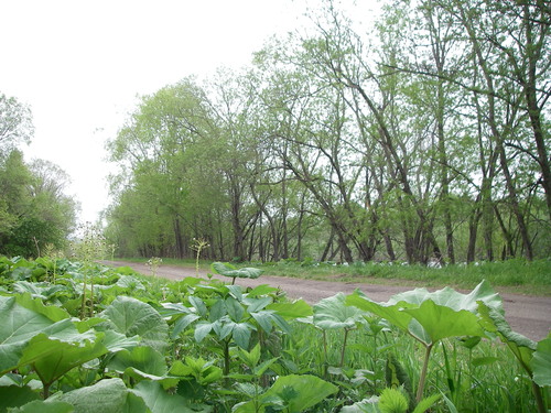 d0202215_8134084.jpg