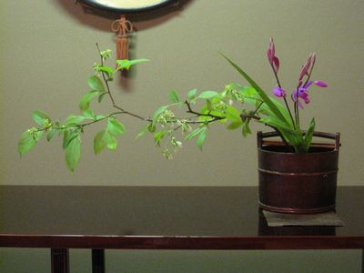 c0094218_2042075.jpg