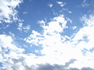 f0227218_2214542.jpg