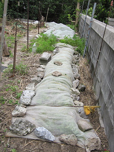f0041021_18514090.jpg