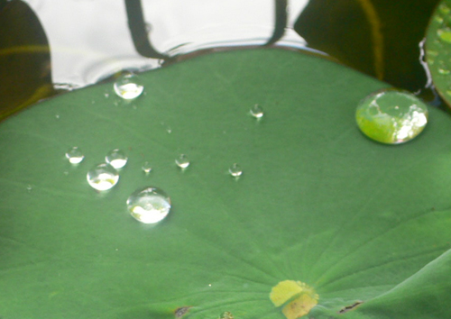 f0060424_1033364.jpg