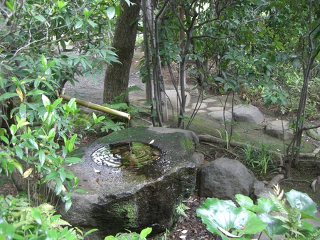 e0205425_17532042.jpg