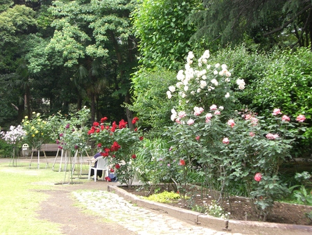 e0205425_17553128.jpg