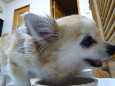 b0138430_20112678.jpg