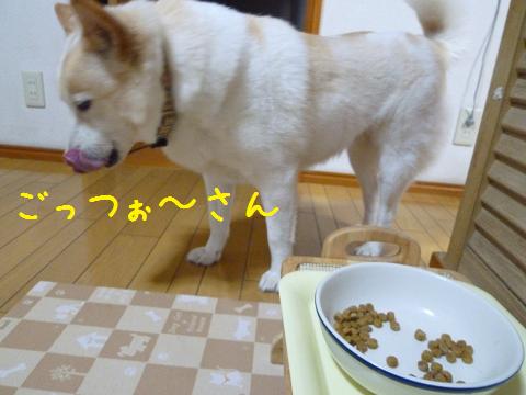b0138430_20221363.jpg