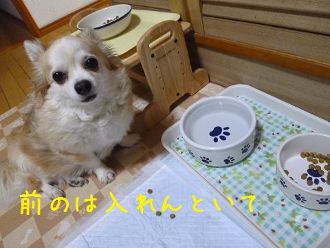 b0138430_203217100.jpg