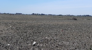 d0164636_7511652.jpg