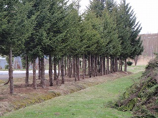 b0196837_10573494.jpg