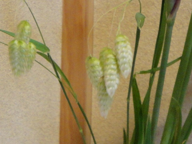 f0208737_8485113.jpg