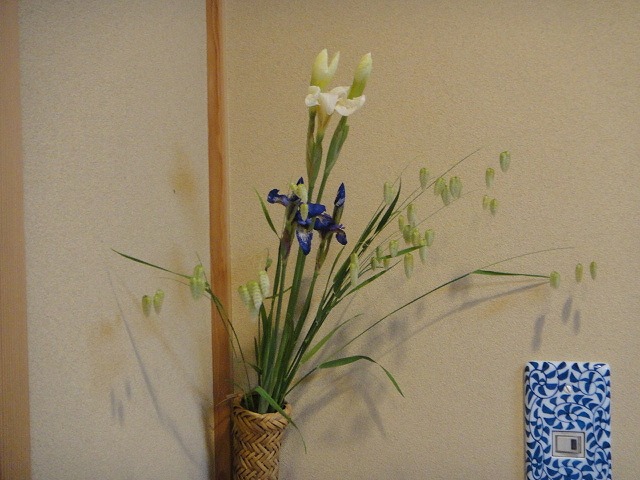 f0208737_8485891.jpg