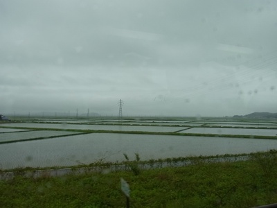 田園