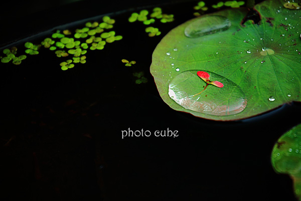 b0195043_23153250.jpg