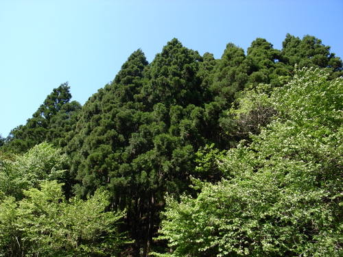b0225743_23485266.jpg