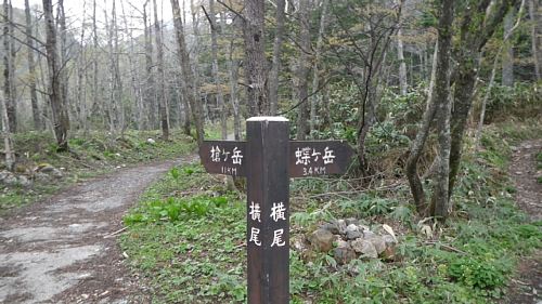 c0042847_1703526.jpg
