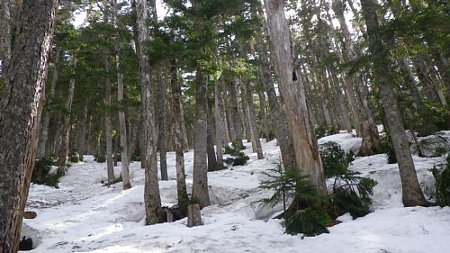 c0042847_19102675.jpg