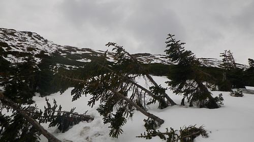 c0042847_19124562.jpg