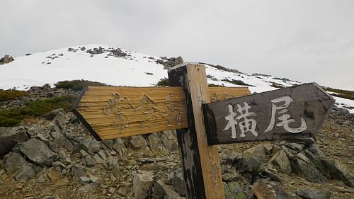 c0042847_191601.jpg