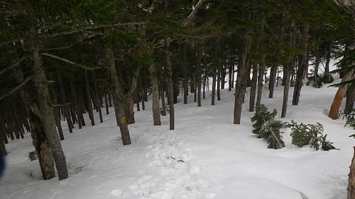 c0042847_1928112.jpg