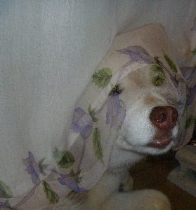 e0121548_21265143.jpg