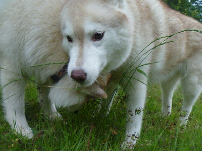 e0121548_21553298.jpg