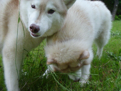 e0121548_2203683.jpg
