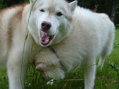 e0121548_2204692.jpg
