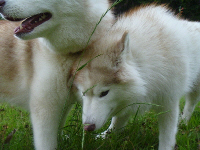 e0121548_2223370.jpg