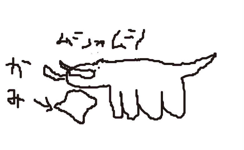 c0099249_1472590.jpg