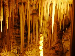 d0081650_2216929.jpg