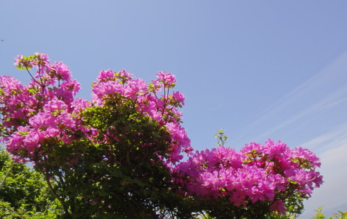 c0179351_20462150.jpg