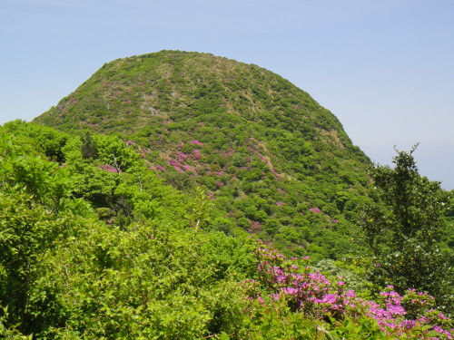 c0179351_2047482.jpg
