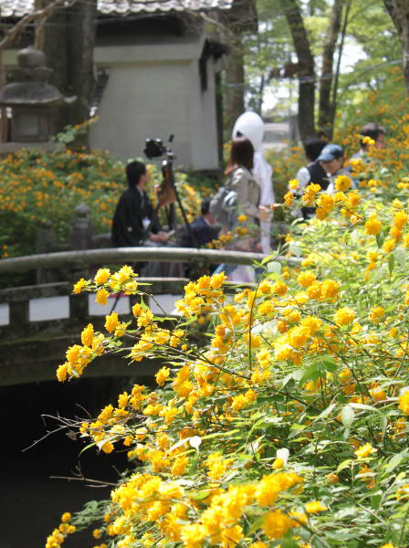 e0017051_053465.jpg