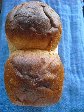 f0009451_16581238.jpg