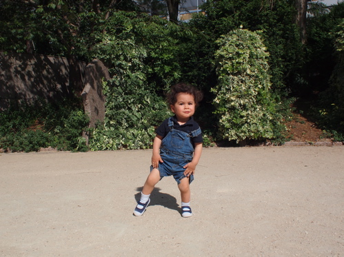 f0035251_20133926.jpg