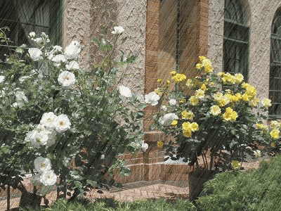 b0133752_12524889.gif