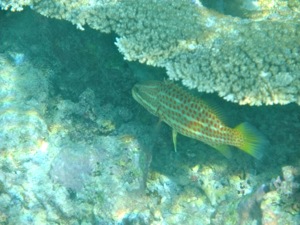 f0190653_10541287.jpg
