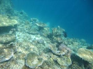 f0190653_10541786.jpg
