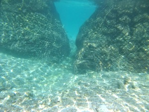 f0190653_10542589.jpg