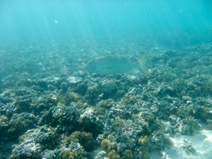 f0190653_10543191.jpg