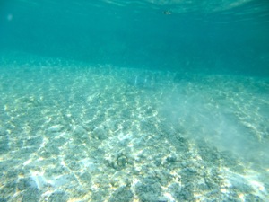 f0190653_10543475.jpg