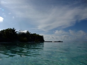f0190653_1112775.jpg