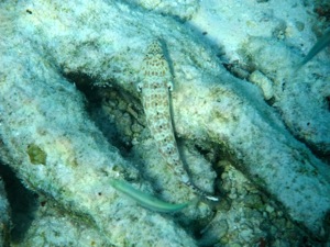 f0190653_11553392.jpg